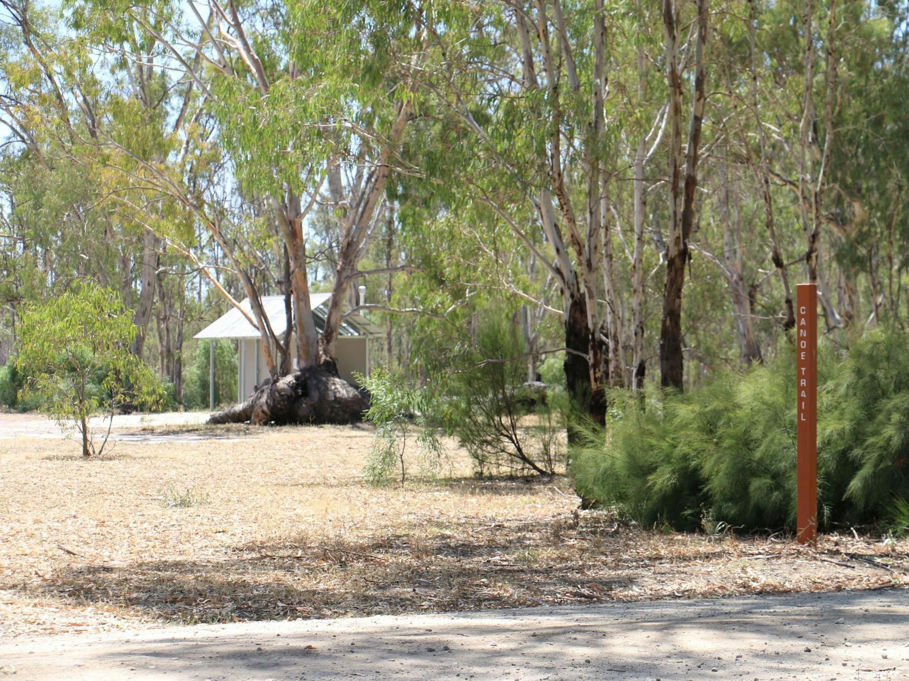 Canoe trail signage on Koondrook Track