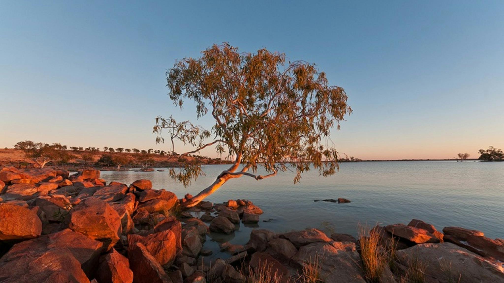 Peery Lake at dawn