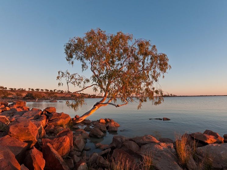 Peery Lake at dawn