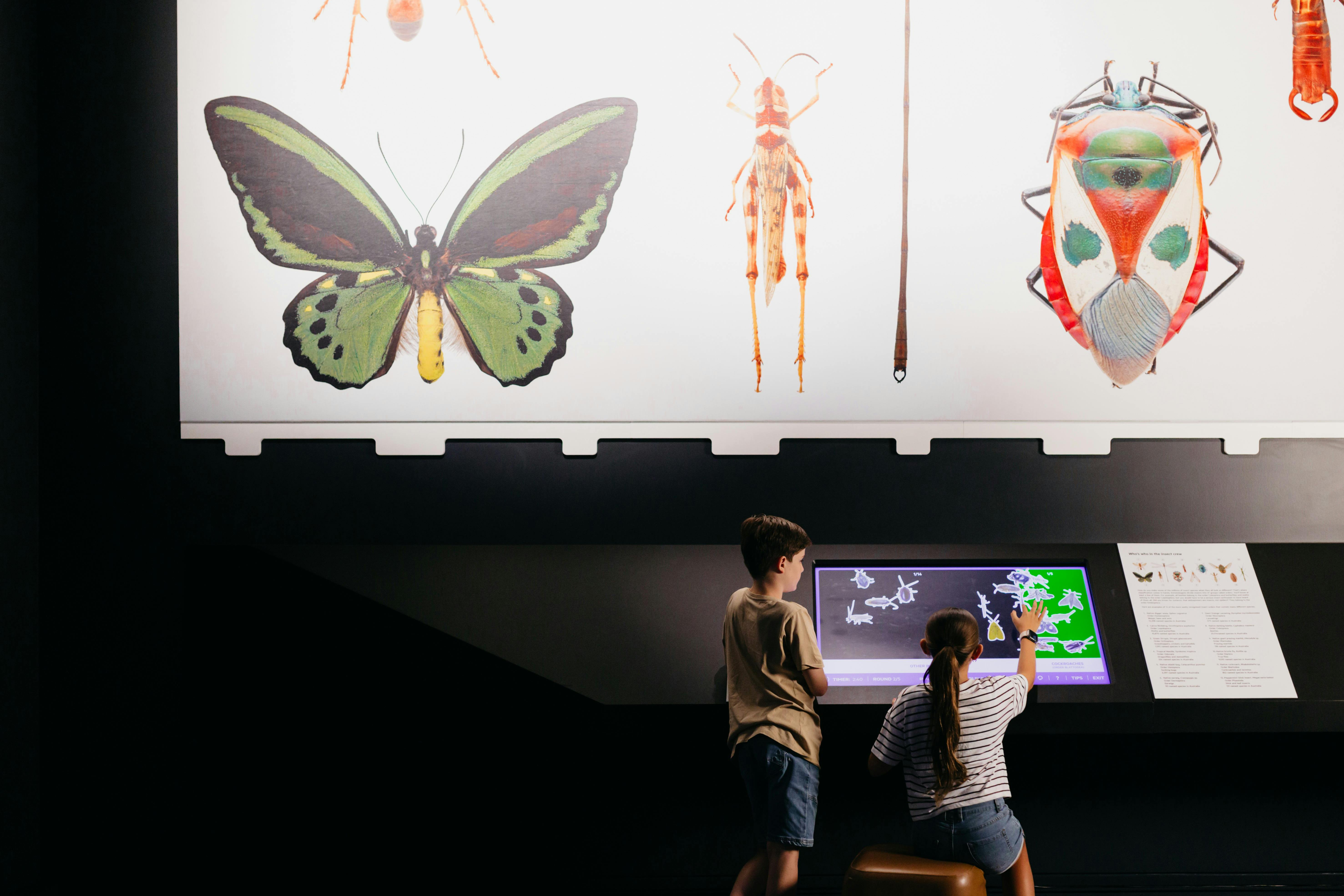 Insect Agency