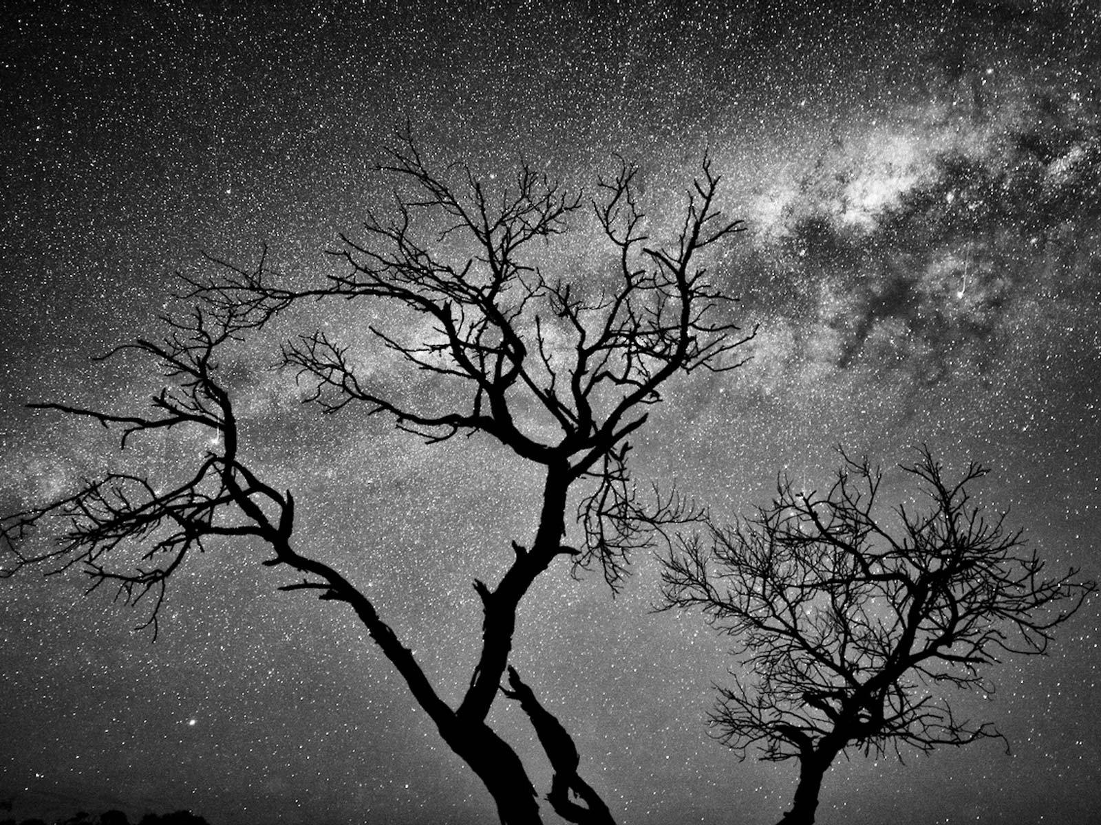 Limestone Coast night sky