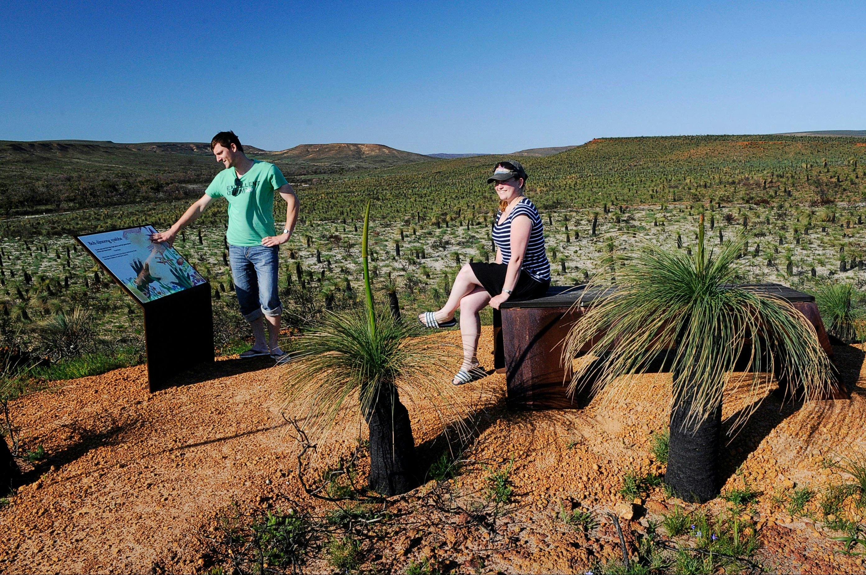 Everlastings Wildflower Trail, Leseur National Park, Western Australia