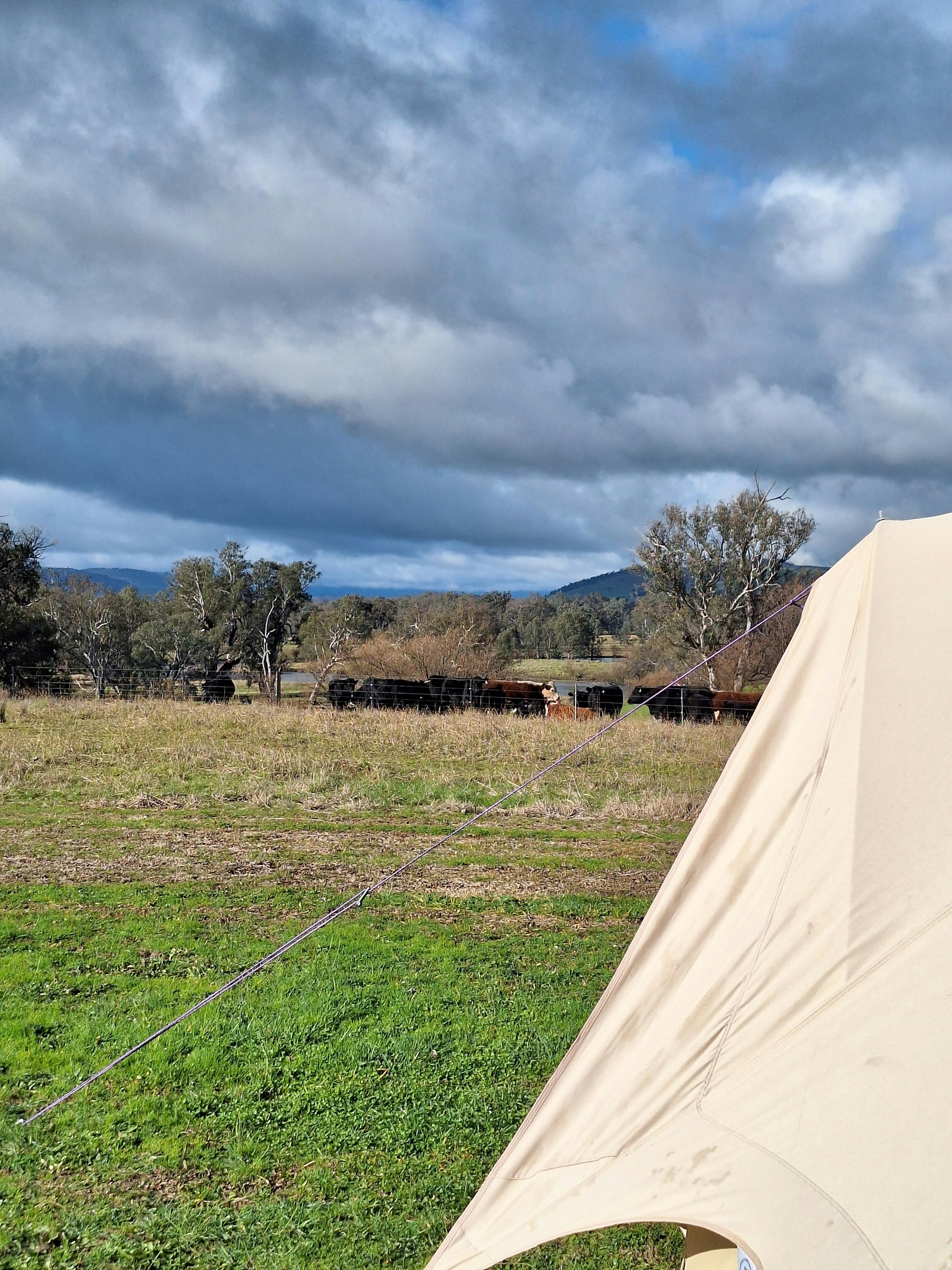 outside the glamping tent