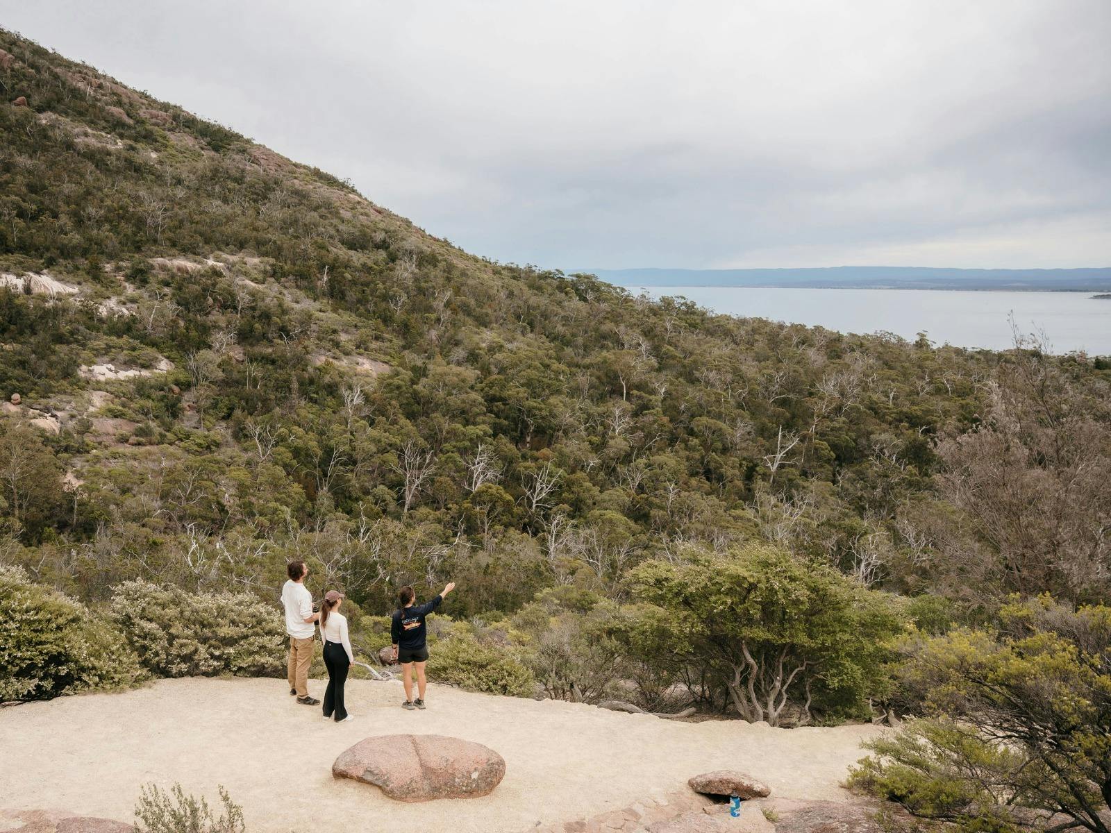 Freycinet walking tour to Wineglass Bay lookout