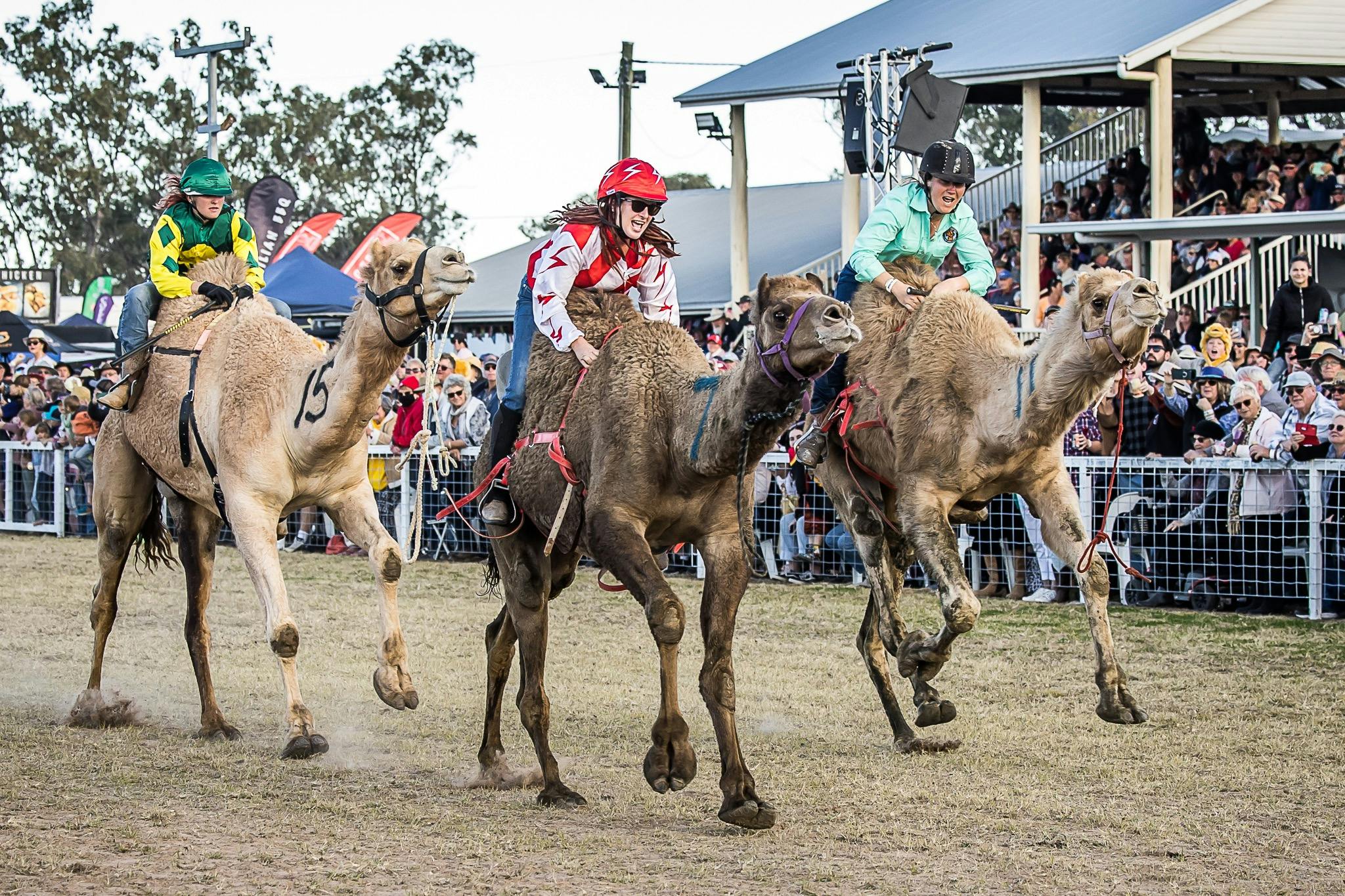 Tara Festival of Culture and Camel Races