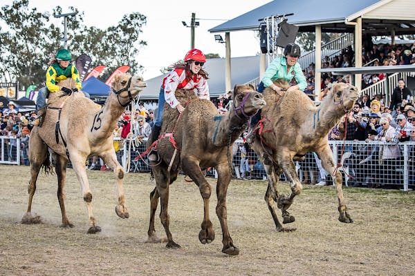 Tara Festival of Culture and Camel Races
