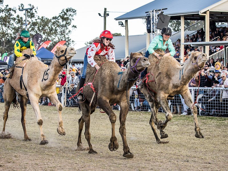 Image for Tara Festival of Culture and Camel Races