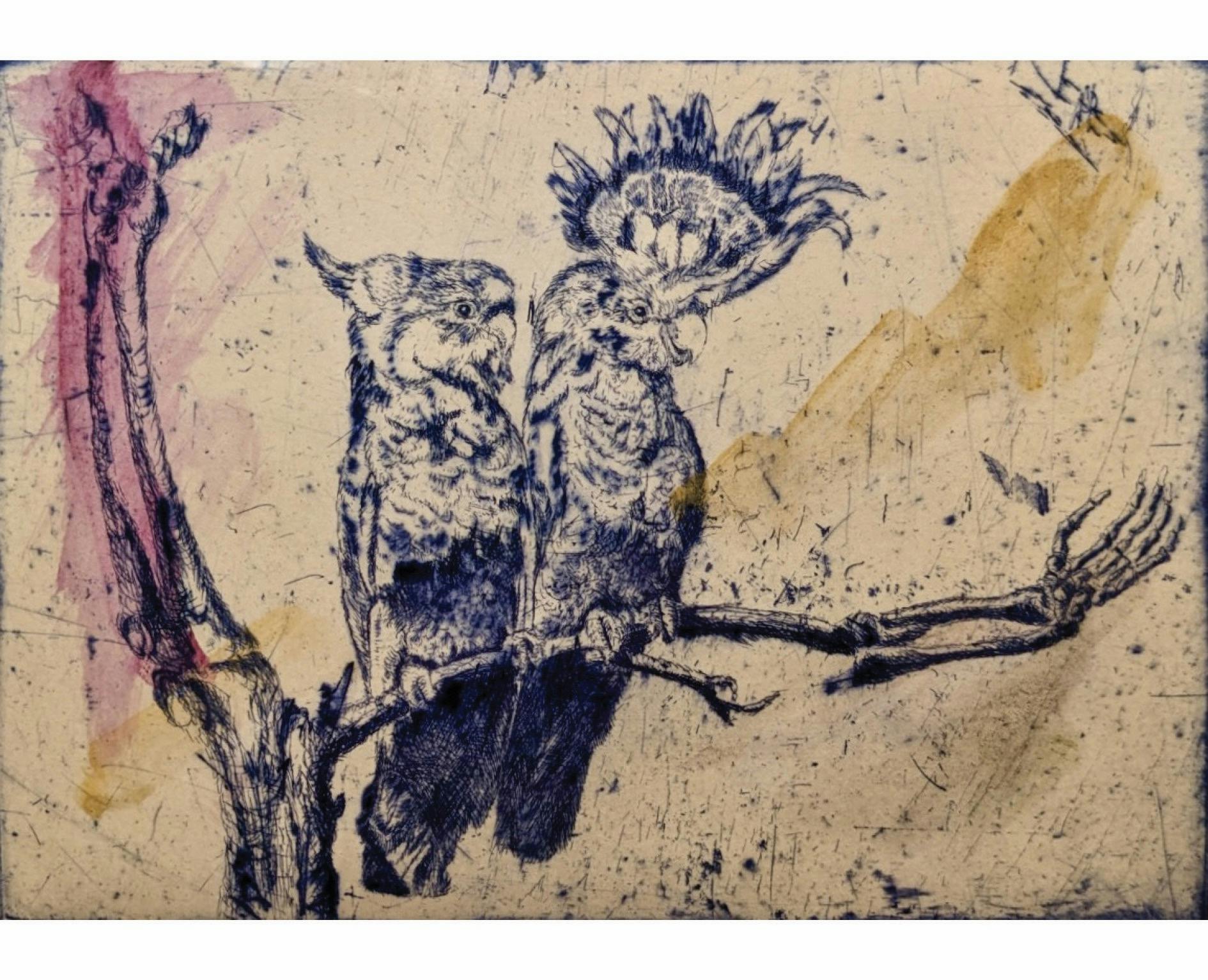 Birdwatch series - #25, etching and handcolouring, framed by Martin King
