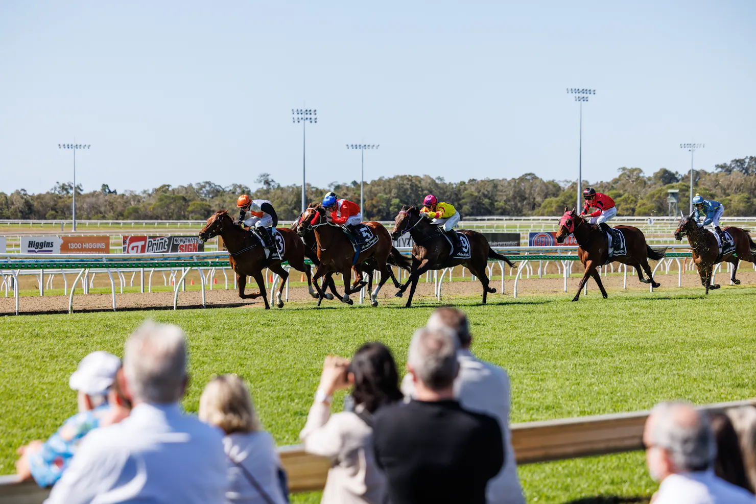 Horses Racing