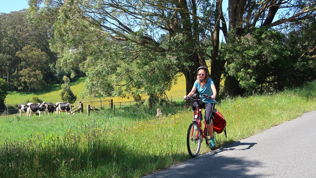 Enjoying a cycling holiday