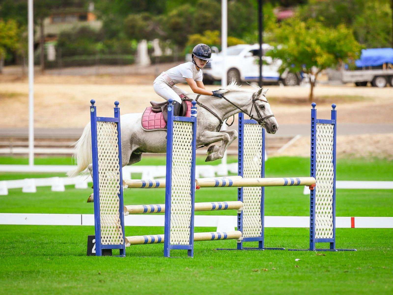 Rider and horse take on the jumps at Angaston Show Horses in Action.