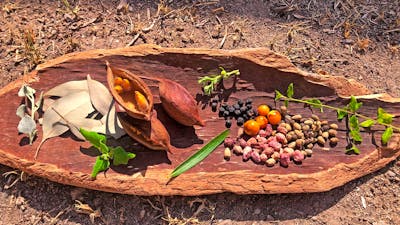 A selection of leaves, nuts and berries are displayed on a traditional wooden vessel