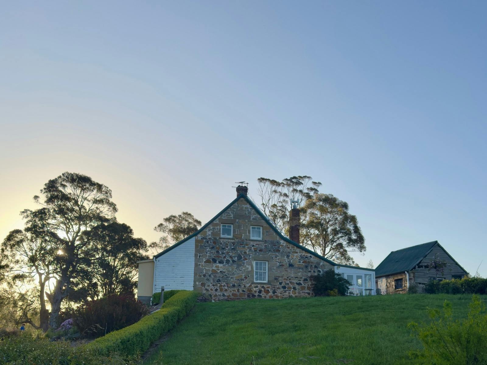 Craigie Knowe Vineyard at sunset