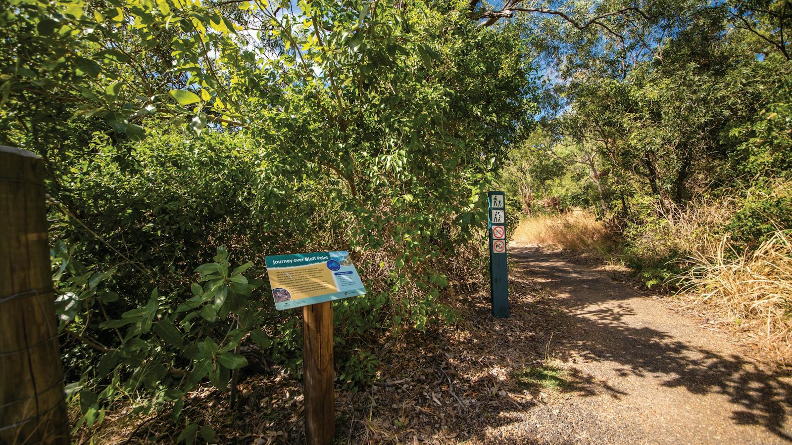 Walking track through coastal bush.