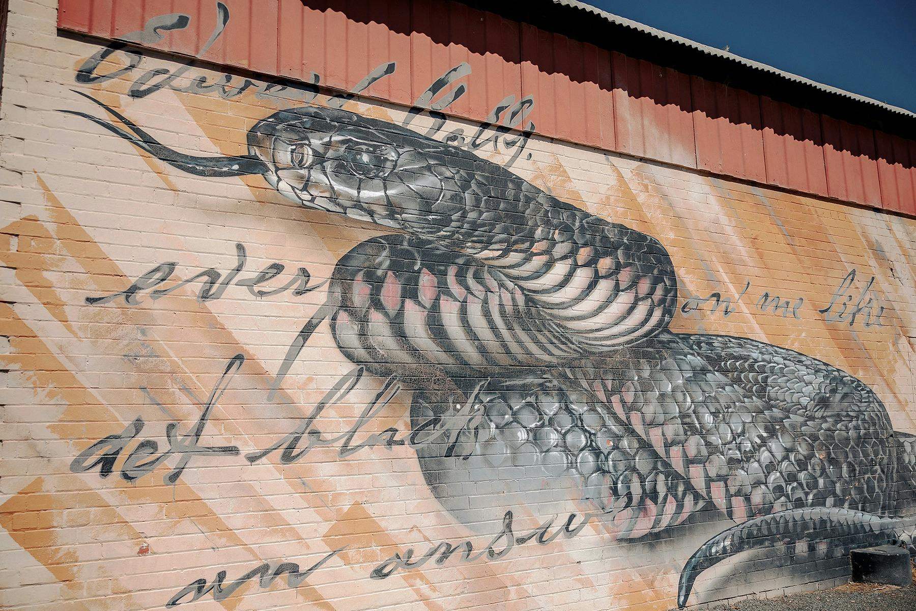 Painted by Andrew J Bourke as part of the Benalla Street Art Festival.