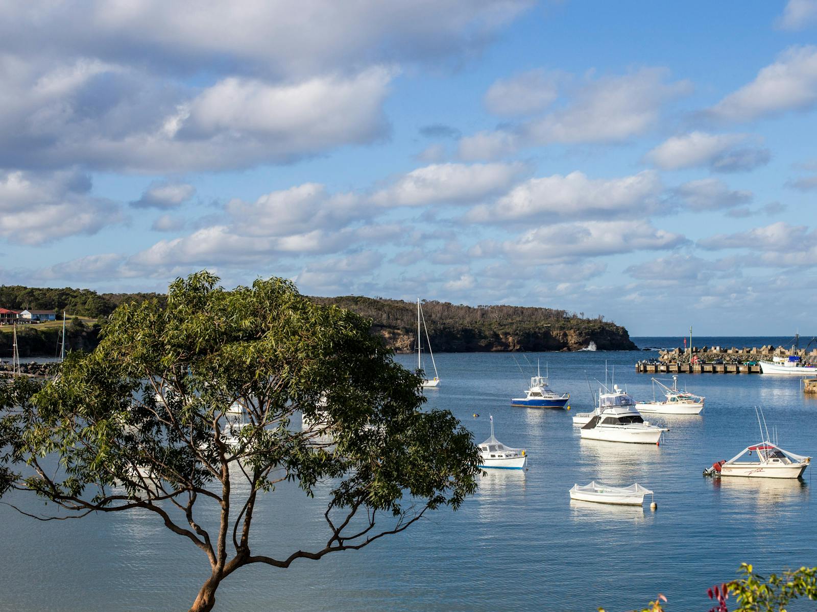 Ulladulla Harbour