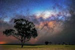 Lush golden canola under the Milky Way