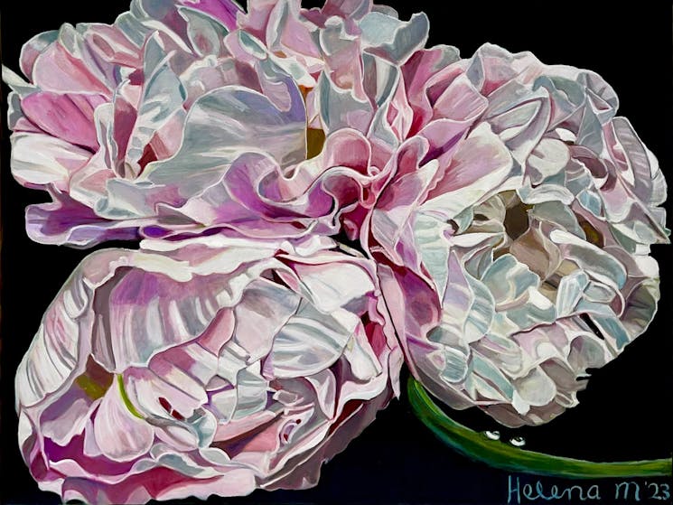 Large scale close up of peony painting