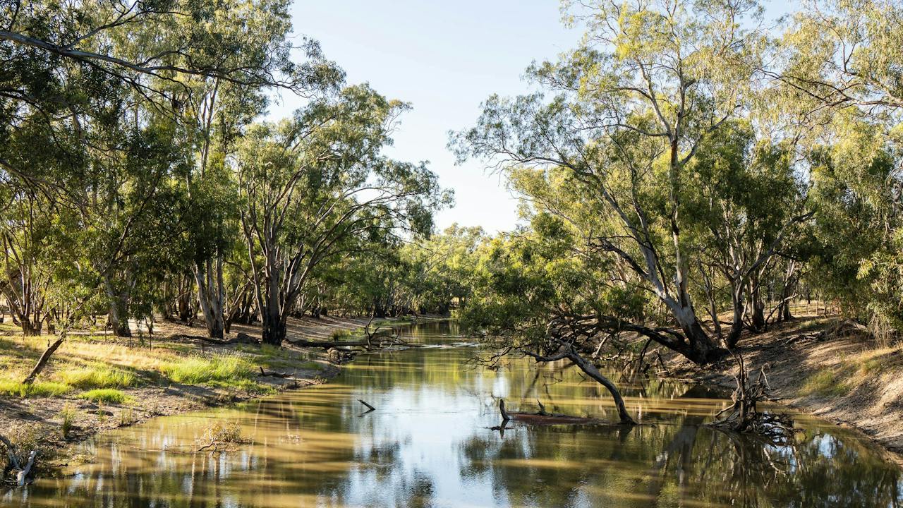 Billabong Creek