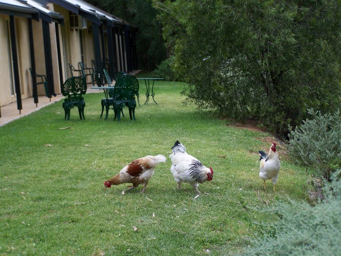 Burra Motor Inn