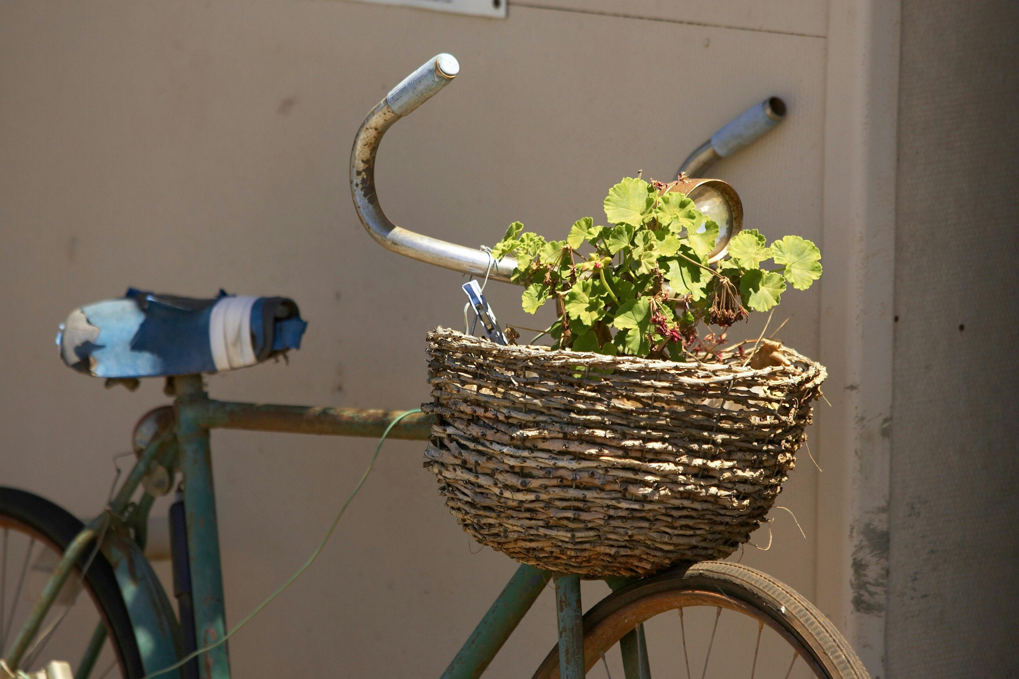 The tours conducted at Catania fruit salad farm are highly recommended.