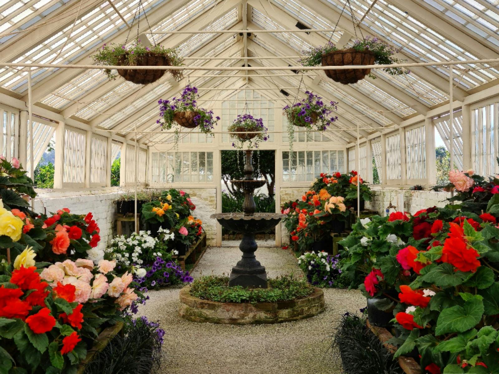 Large glass building with shelves filled with vibrant large flowers