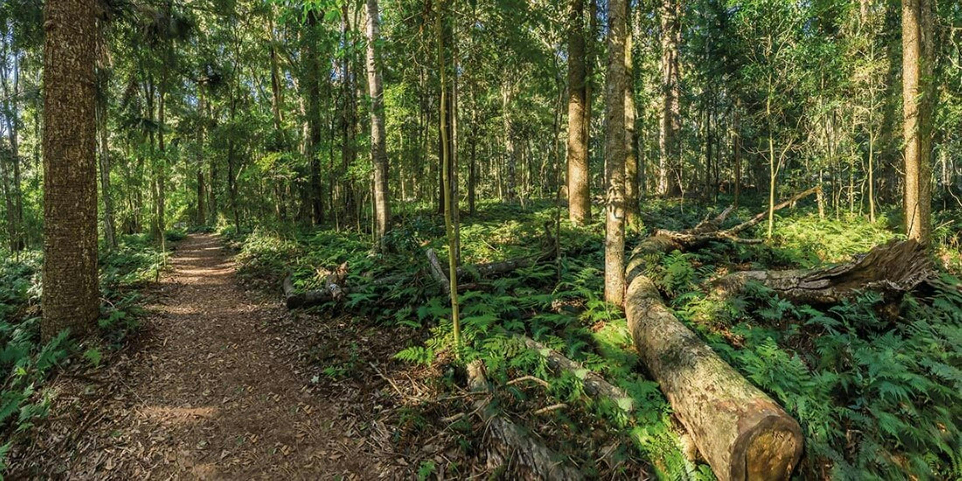 National Parks Loop