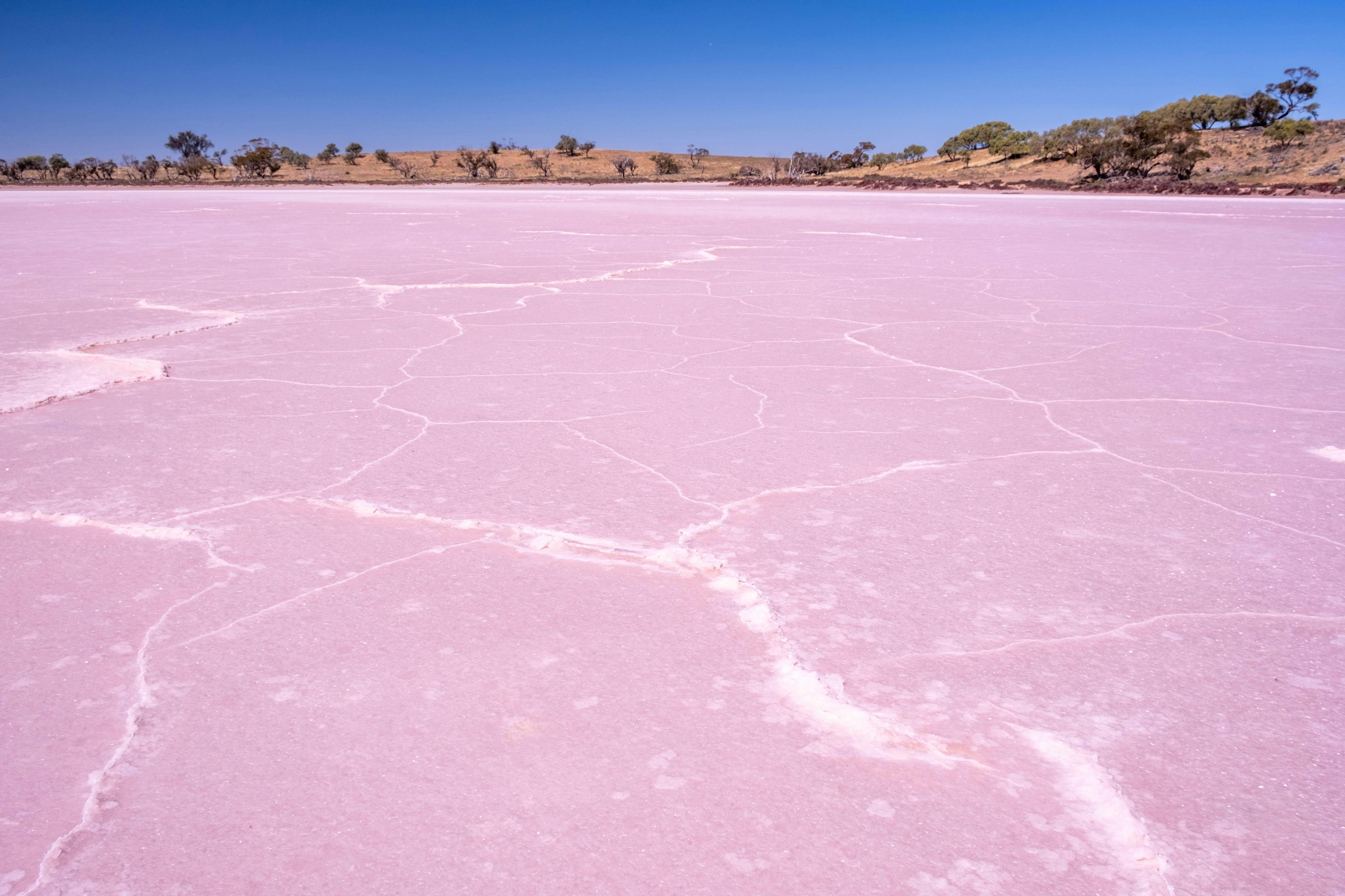 Spectacular Pink Lakes visited on our Vinelander itineraries