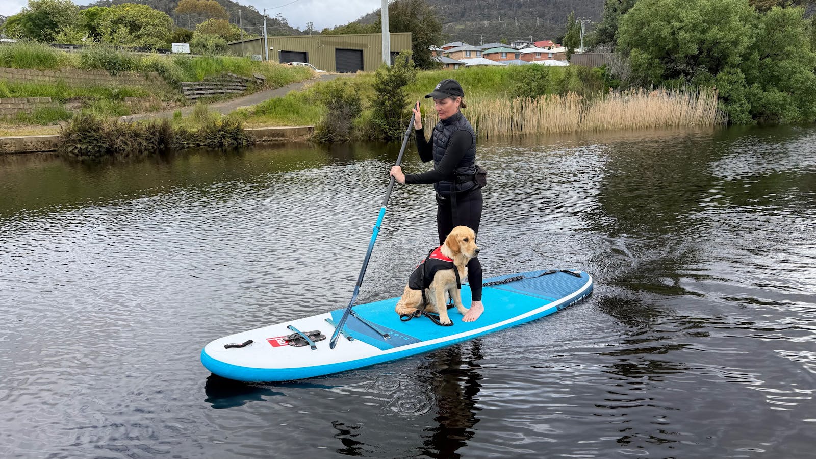 SUPdog