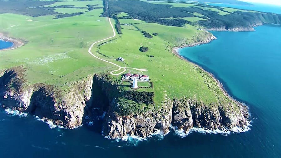 Kangaroo Island Dolphin Run One Hour and 45 Minute Tour