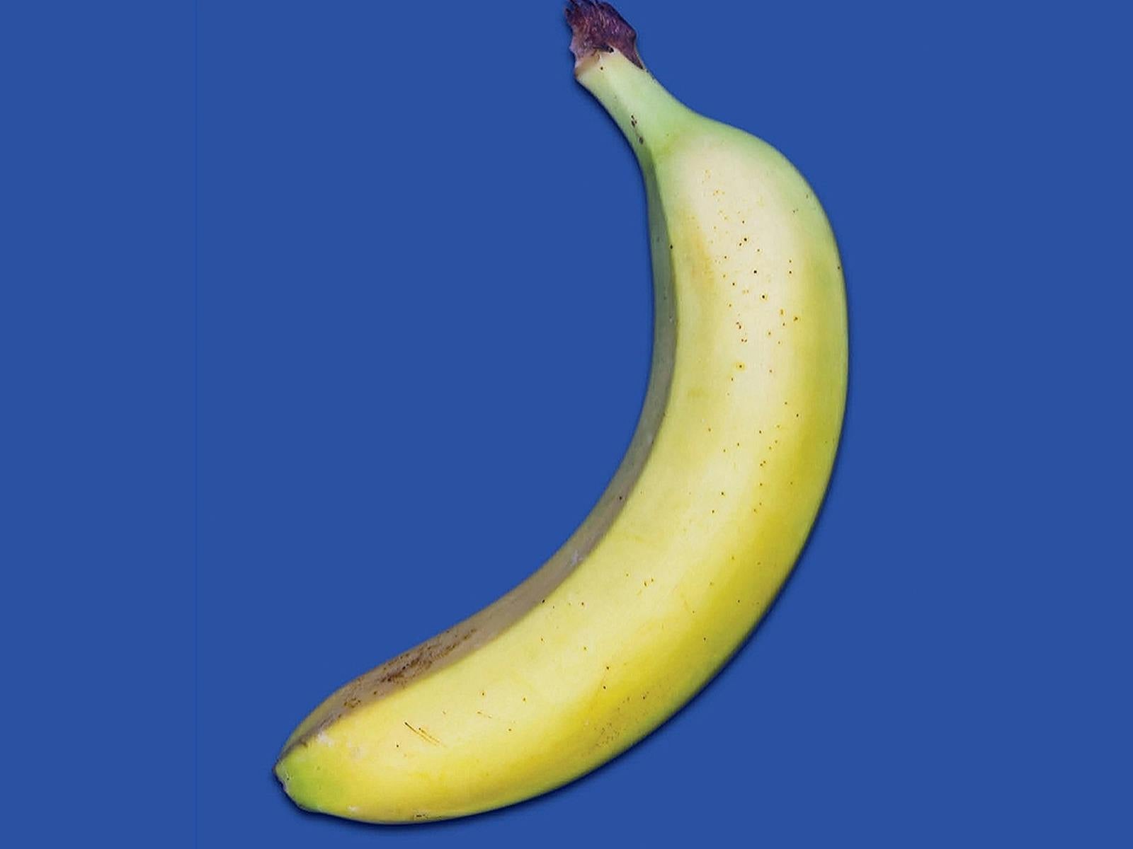 A single yellow banana with a green-tinged stem on a plain royal blue background.