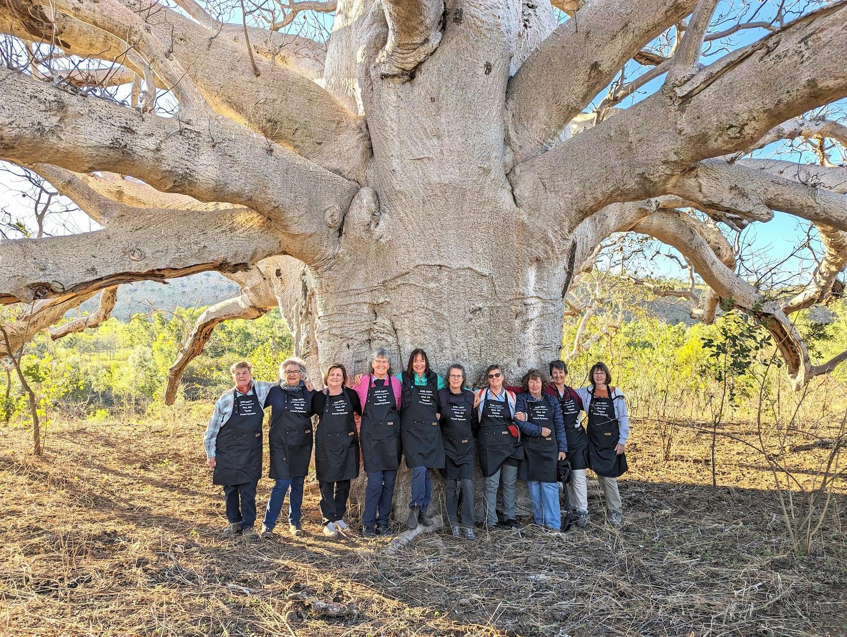 Ten artists in black aprons link arms beneath a thousand year old boab tree