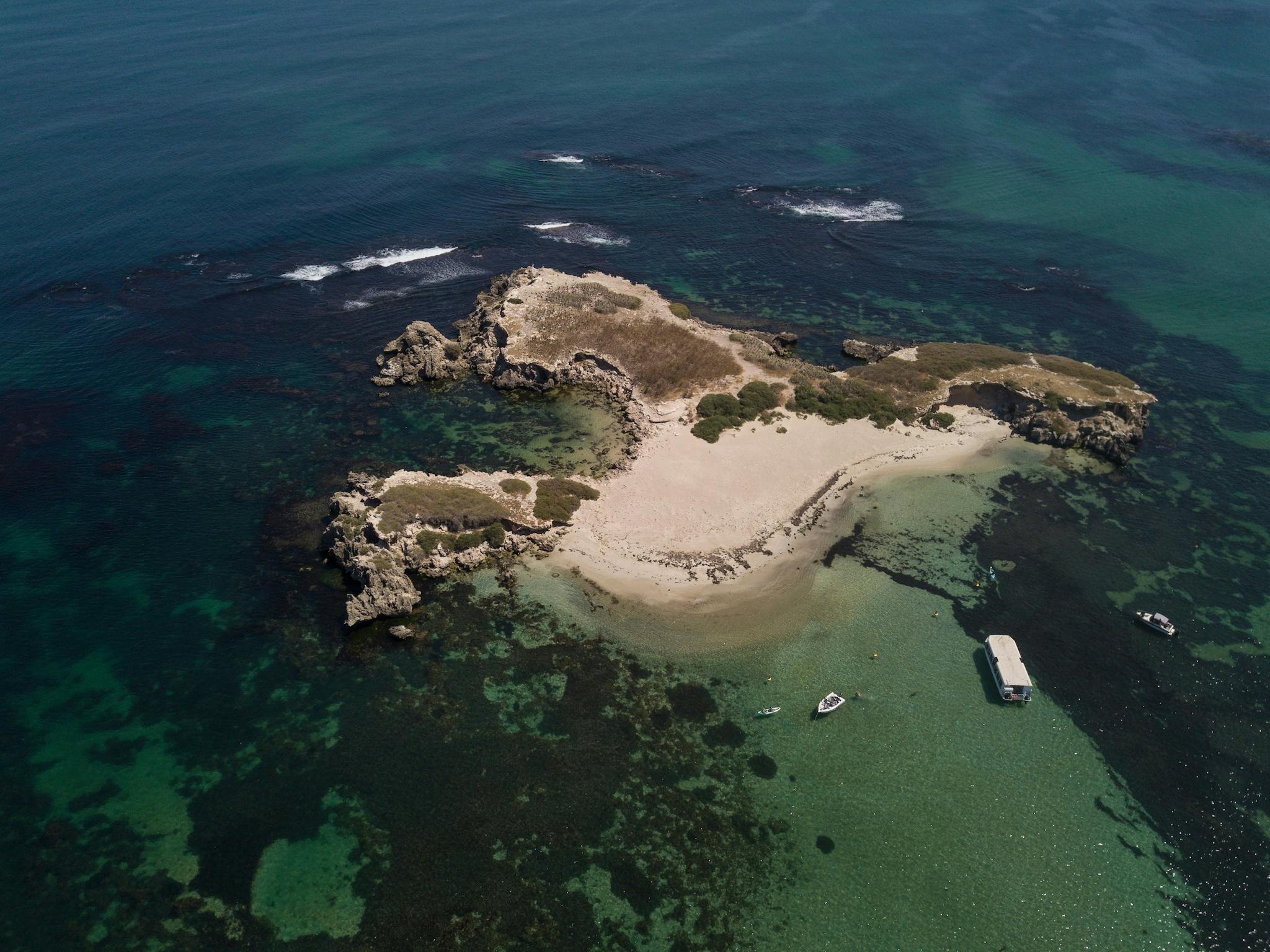Shoalwater Islands Marine Park, Rockingham, Western Australia
