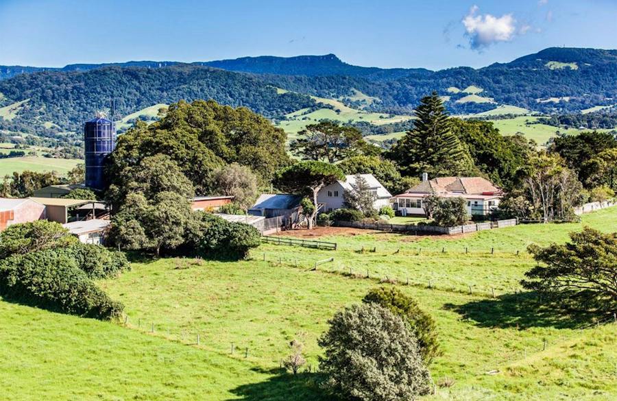 Buena Vista Farm