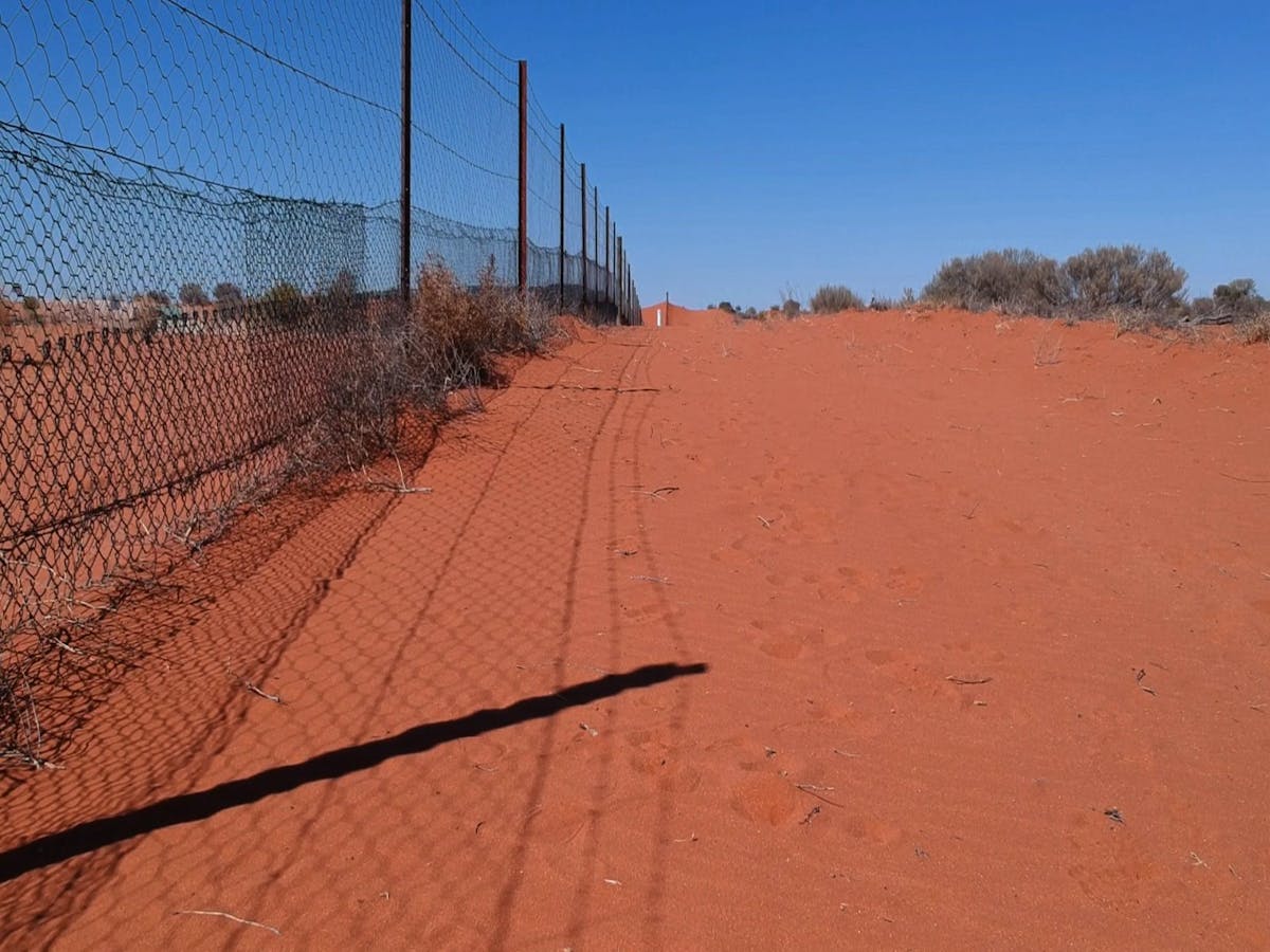 Dingo Fence Dingo Fence