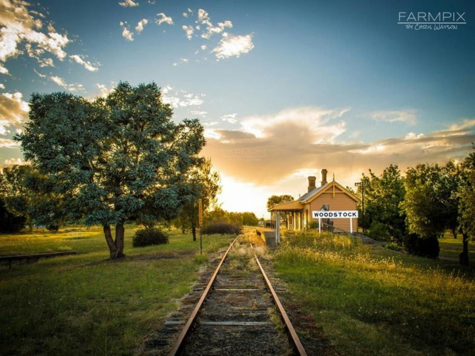 Woodstock