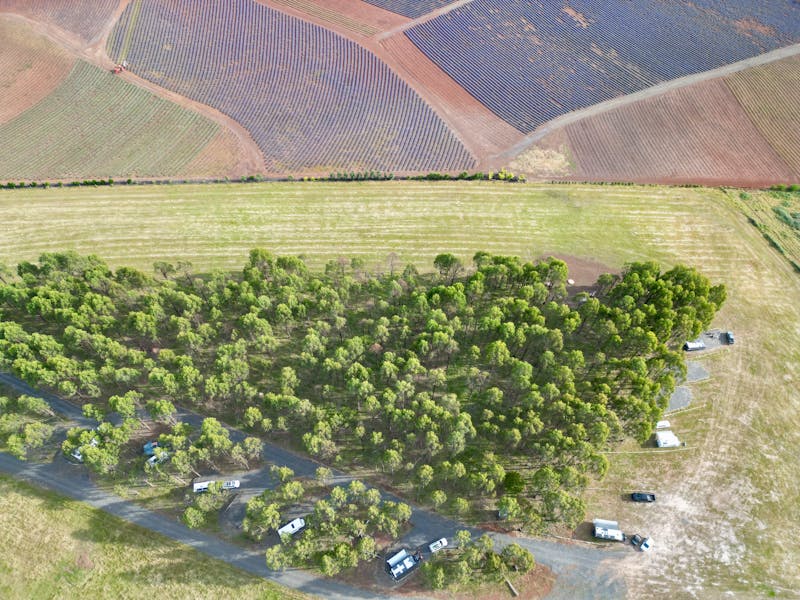An arial view of an RV farmstay in Nabowla surrounded by paddocks and lavender fields.