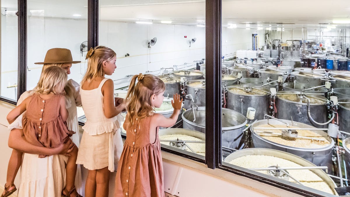 Mum and daughters looking at the syruping tanks
