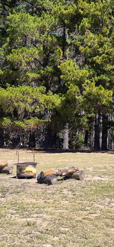 Themeda Farm Campground