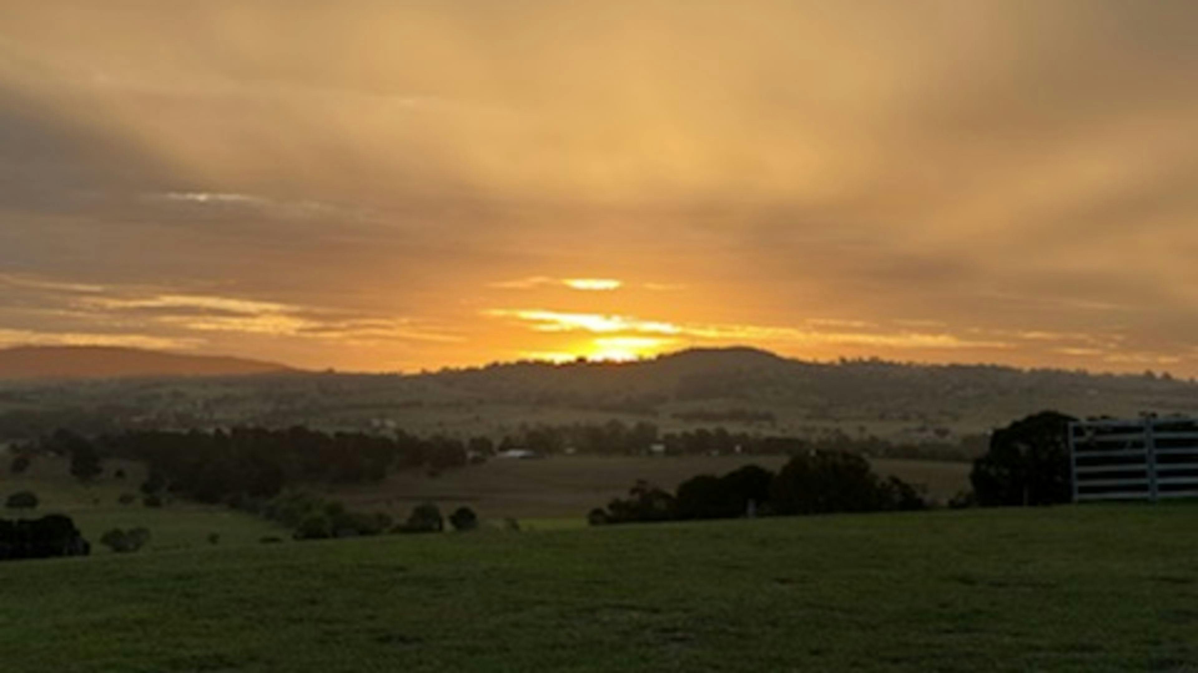 Field of Dreams, Haigslea