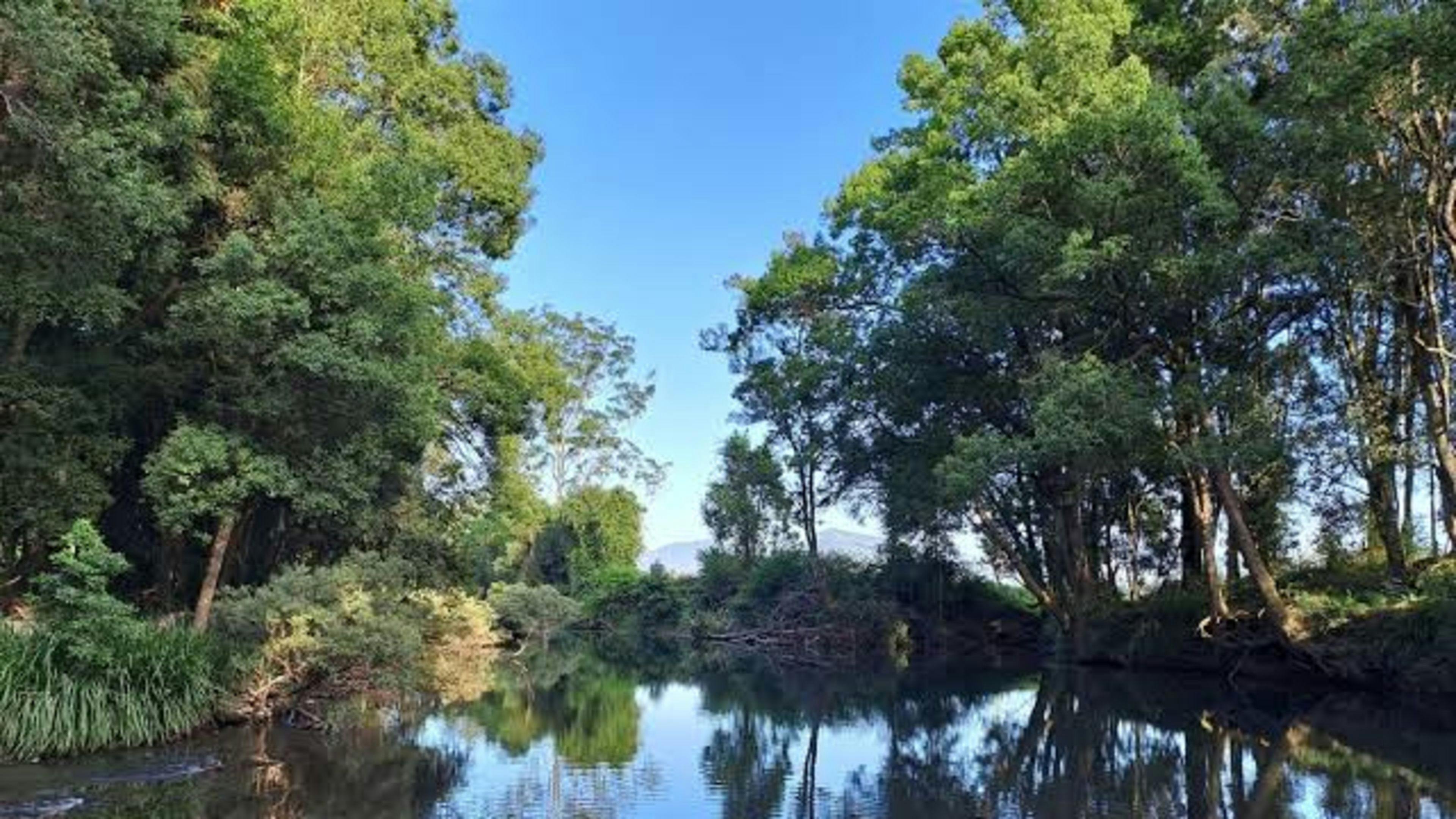 Fifth Ridge Ranch and Farm Stay