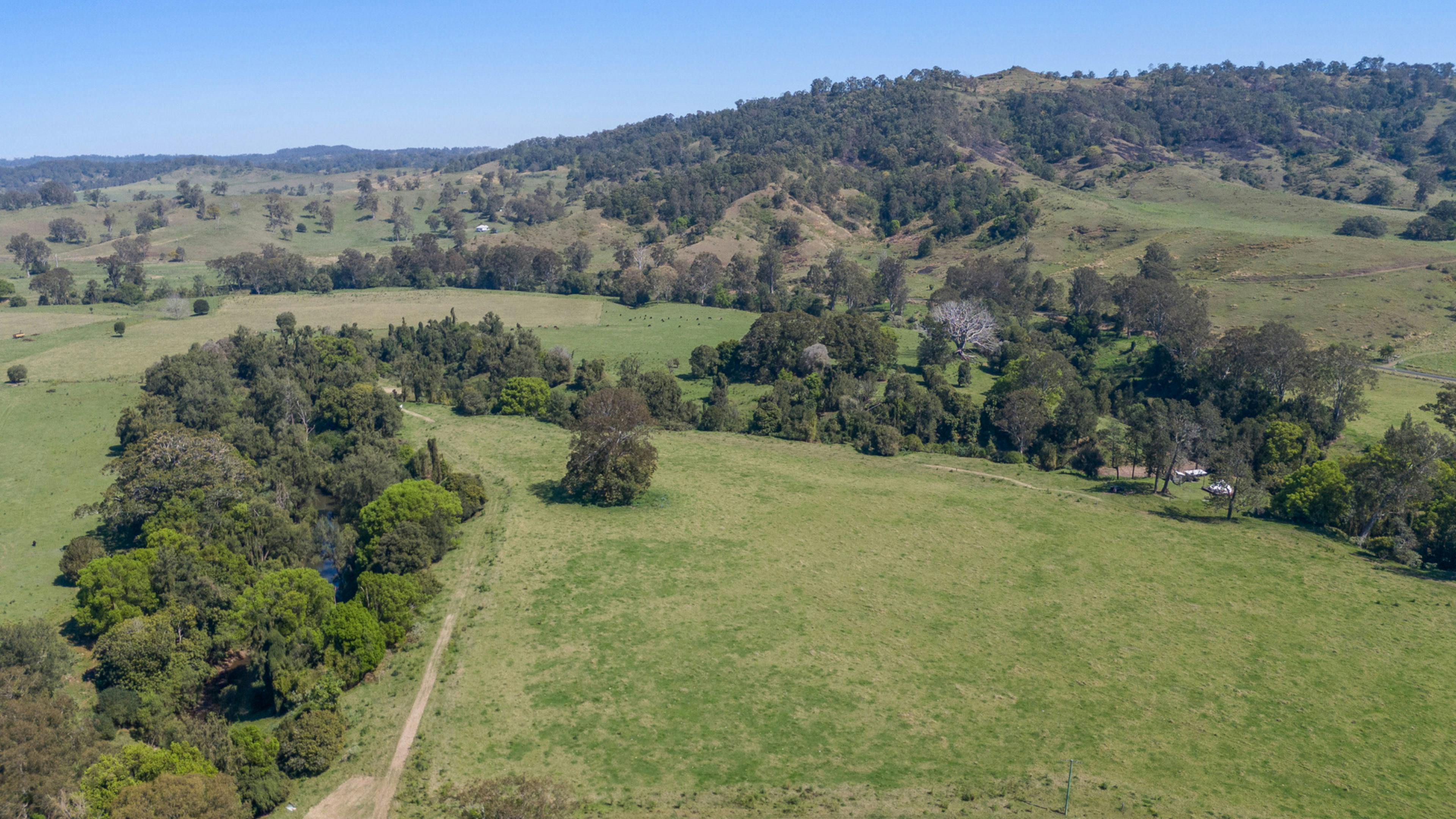 Figtree Camping and Glamping