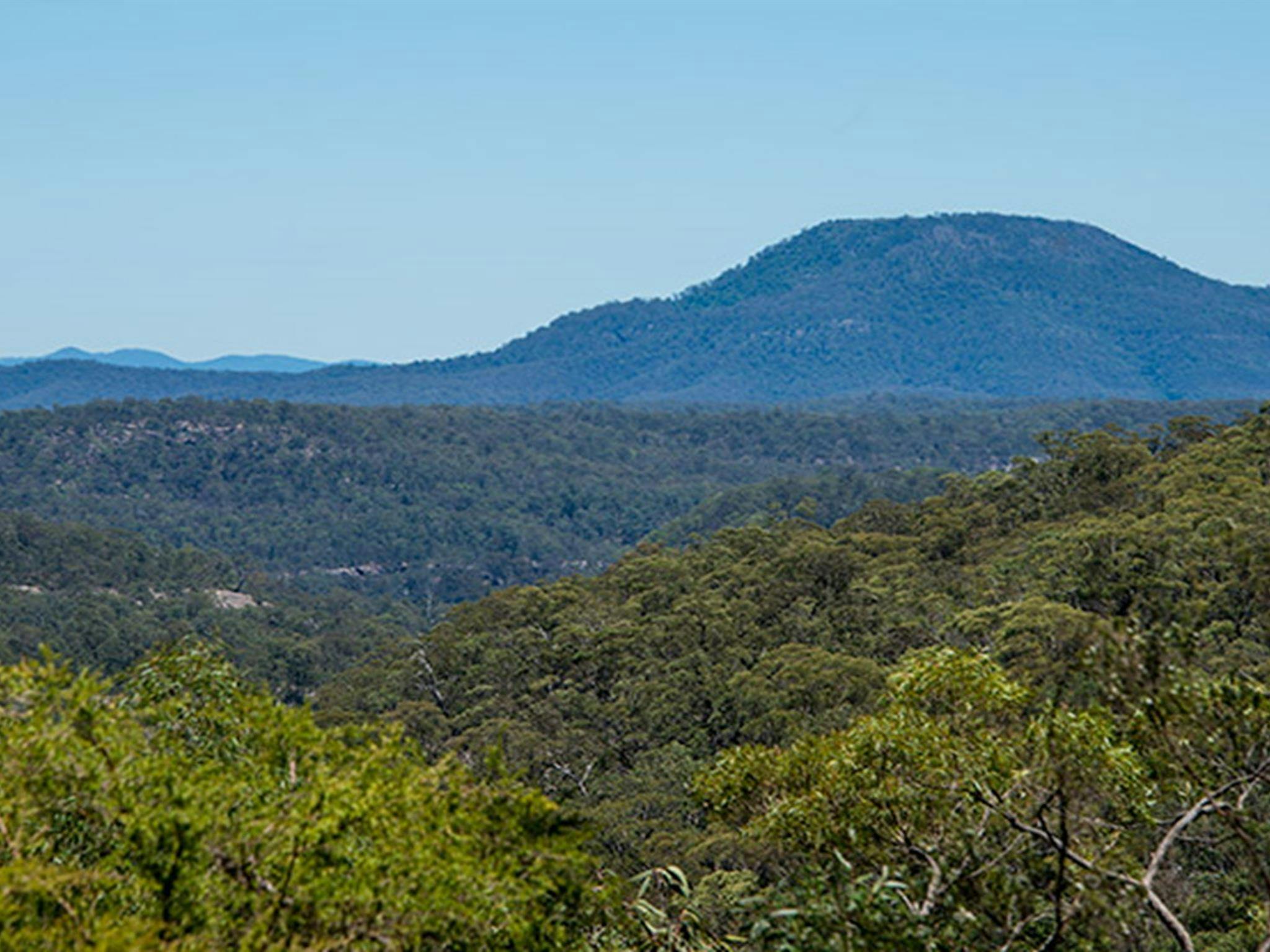 Finchley campground, Yengo National Park. Photo: John Spencer/NSW Government