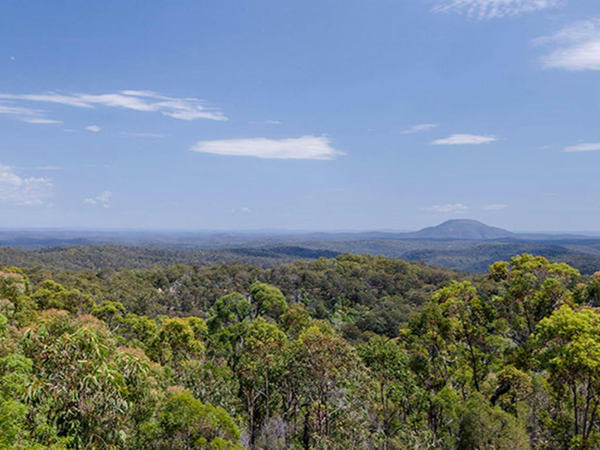 Finchley lookout, Yengo National Park. Photo: John Spencer