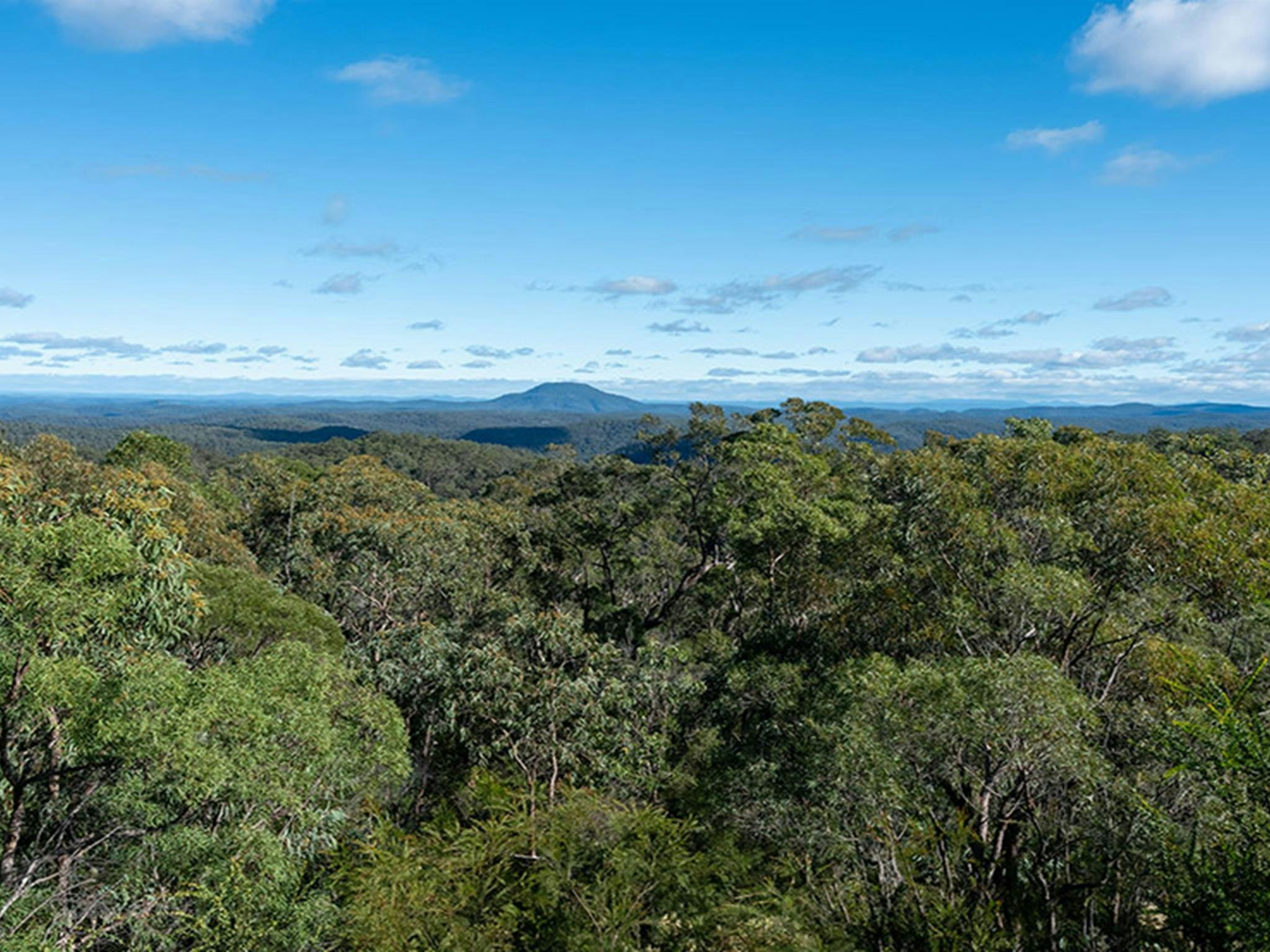 The view from Finchley lookout. Credit: Allan Chawner <HTML>&copy; DCCEEW