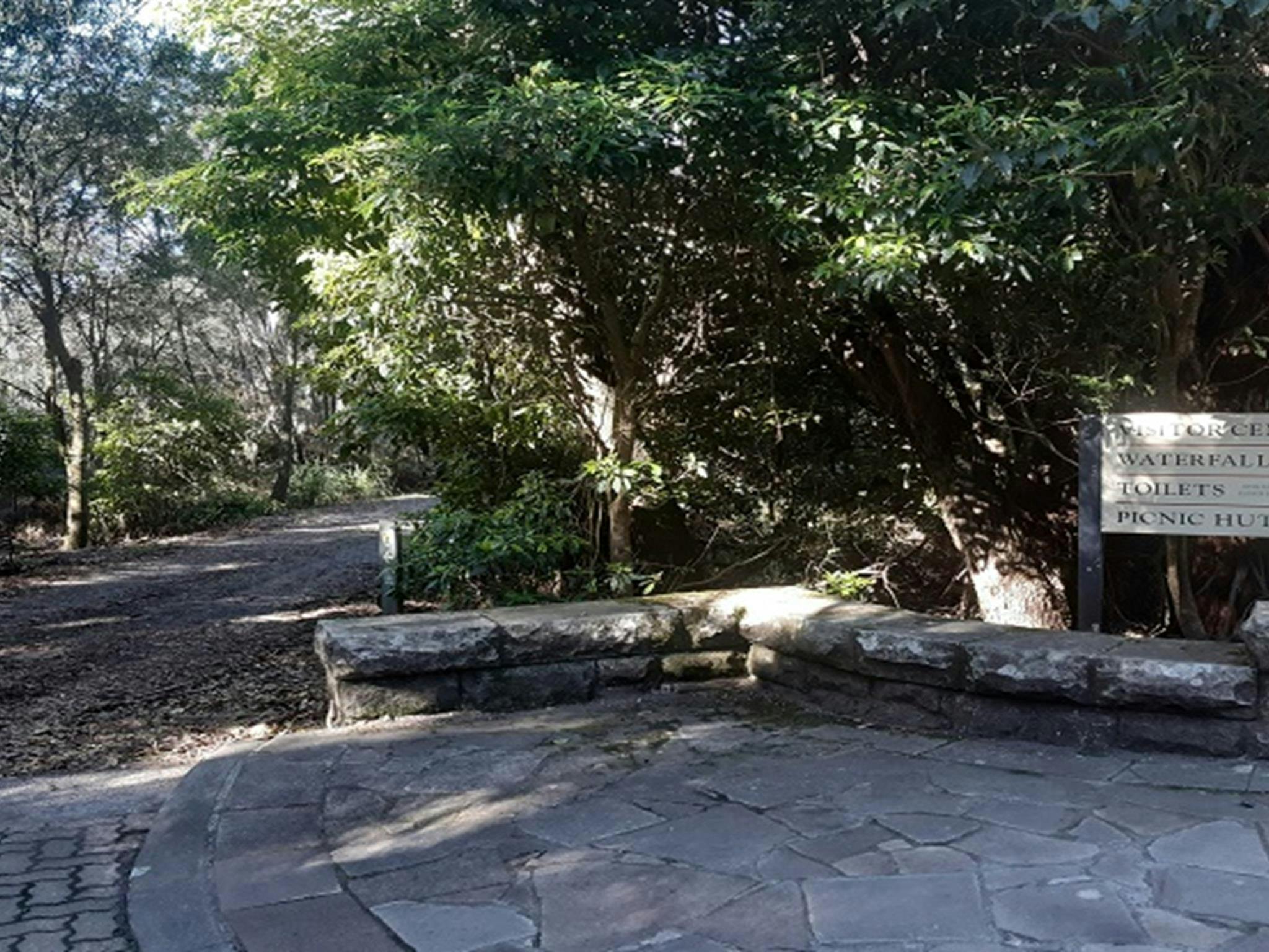 通往菲茨罗伊瀑布河畔野餐小屋的小径，莫顿国家公园。照片：Sally Flew © DPIE