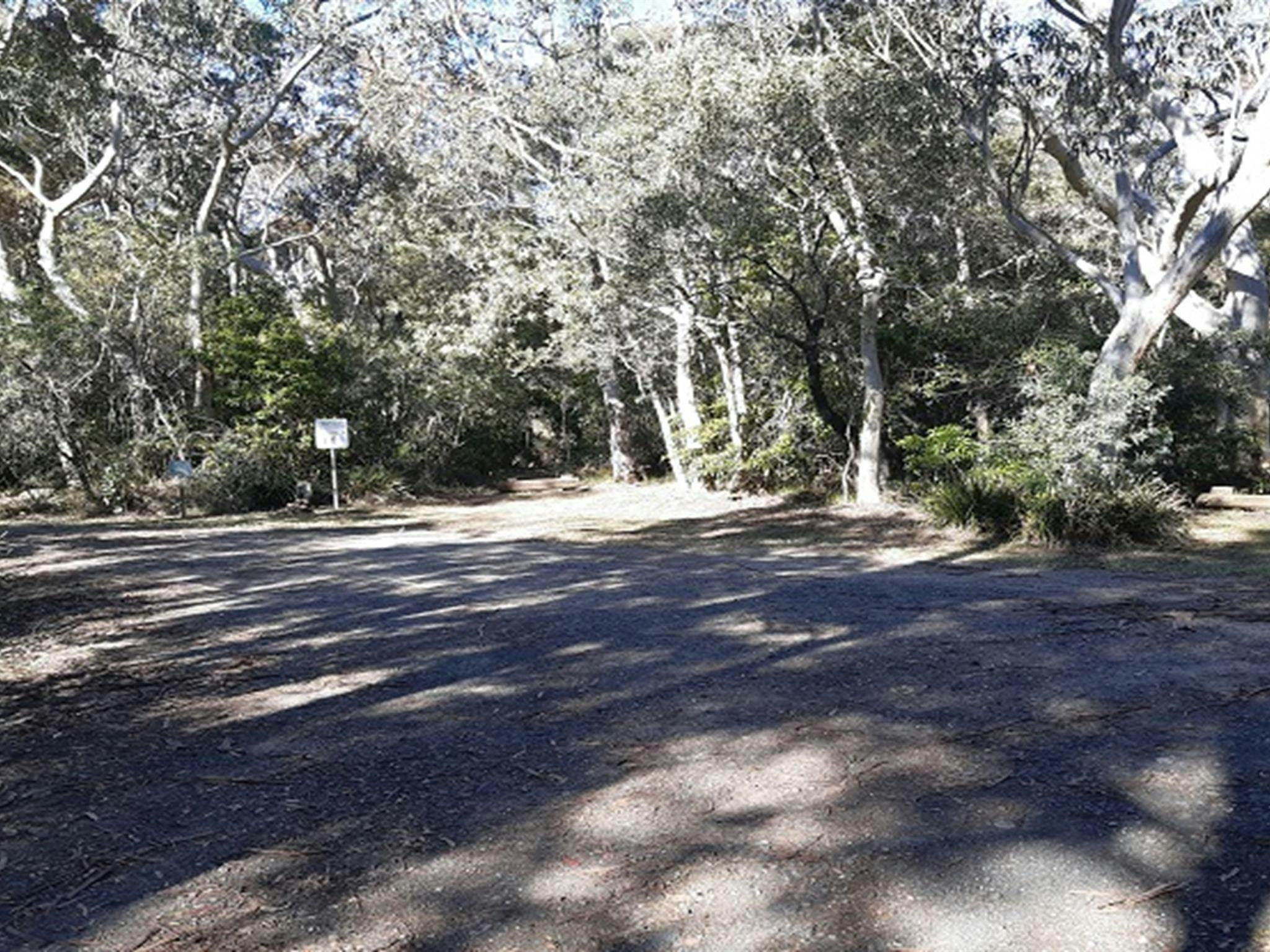 菲茨特罗伊瀑布河畔野餐小屋，莫顿国家公园。照片：Sally Flew © DPIE