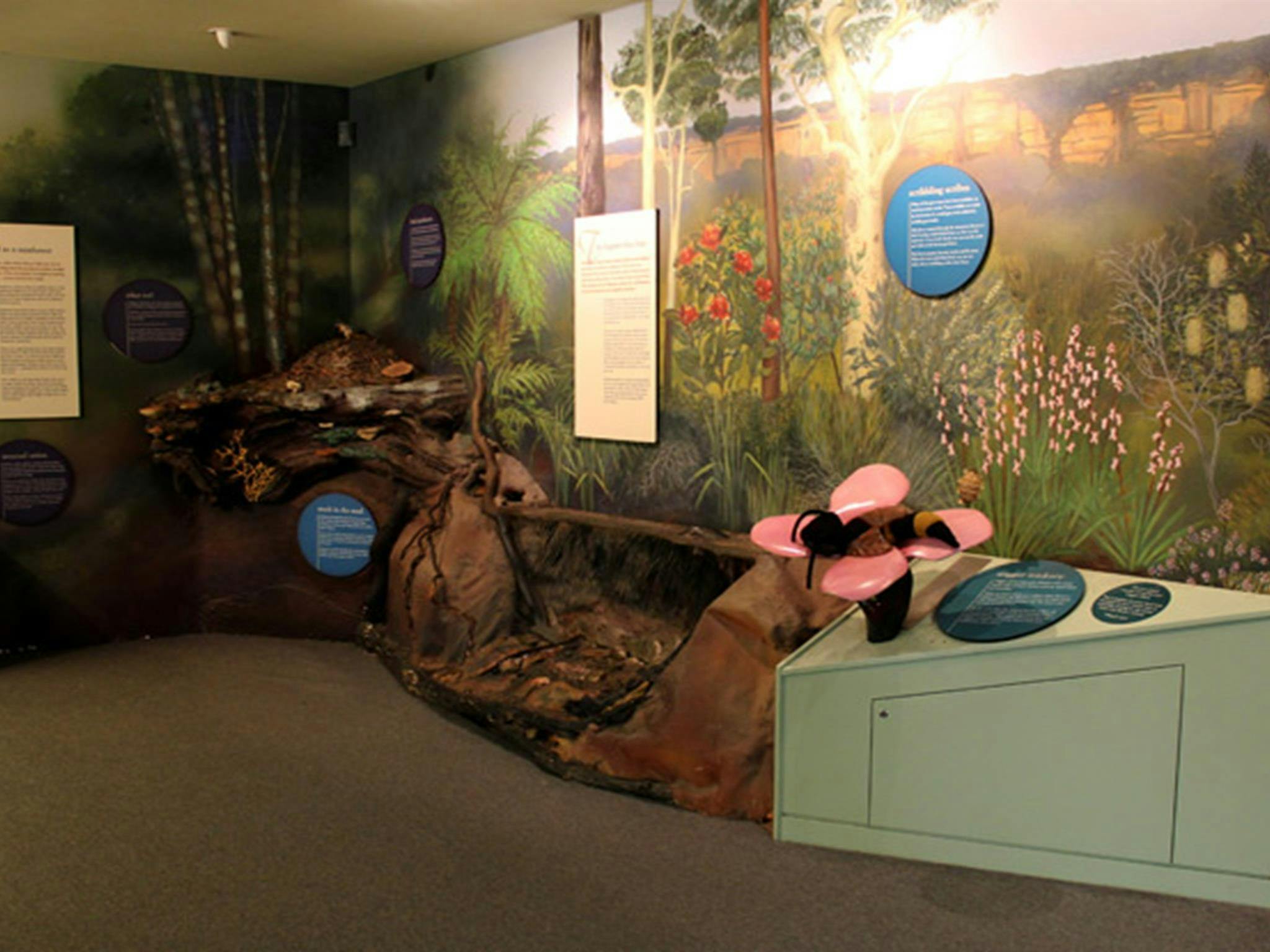 Fitzroy Falls Visitor Centre, Morton National Park. Photo: John Yurasek © OEH