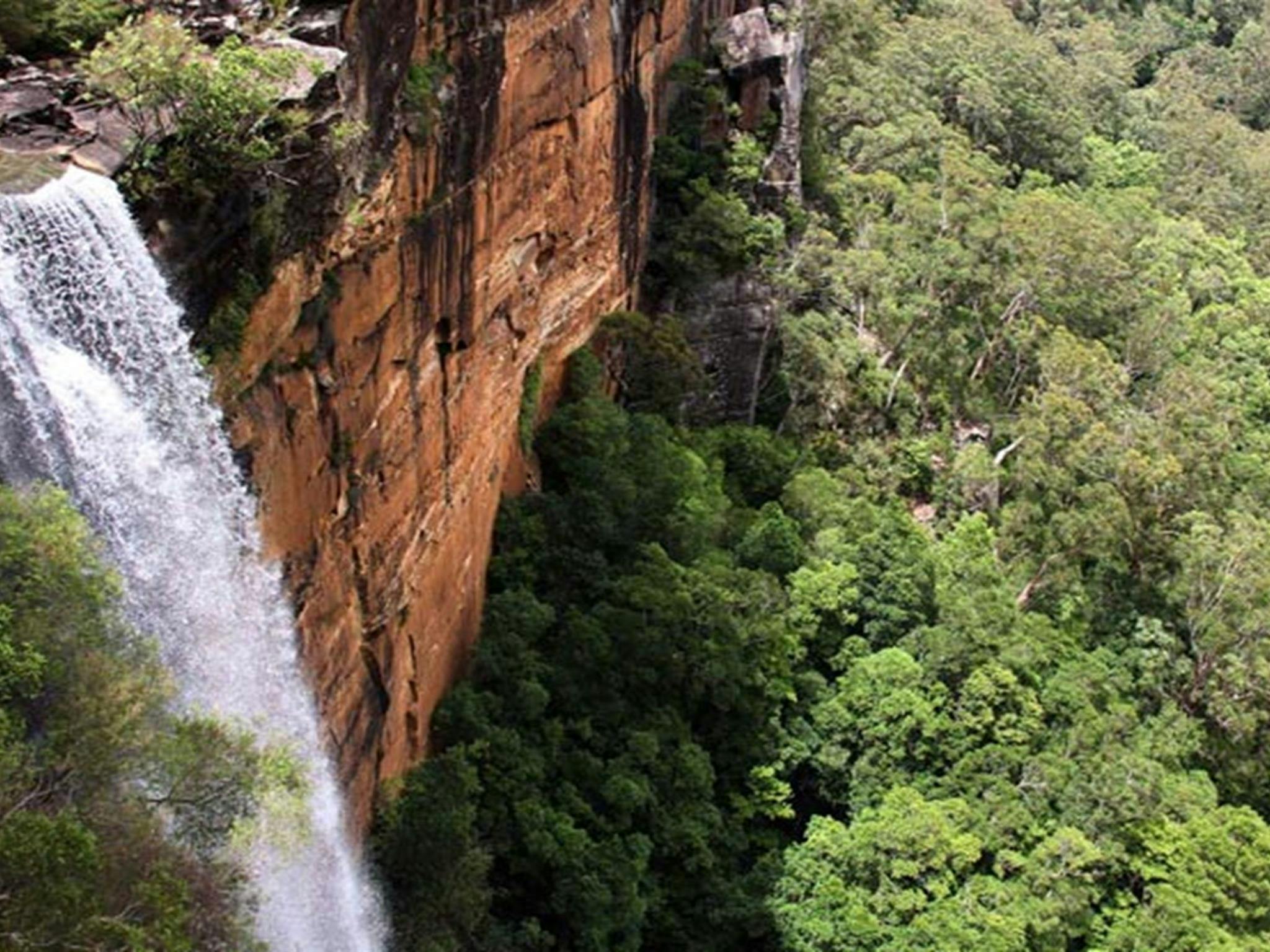 Fitzroy Falls, Morton National Park. Photo: John Yurasek © DPIE