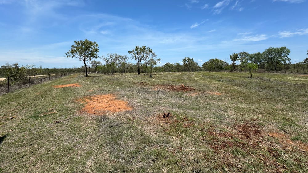 Five Leaf Clover Farm